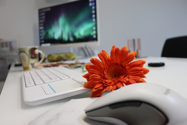 workspace